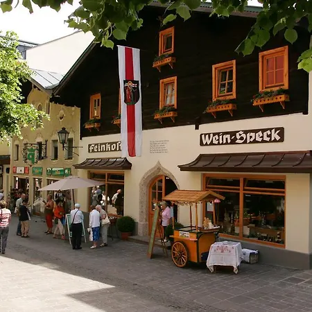 Baderhaus Apartment Zell am See